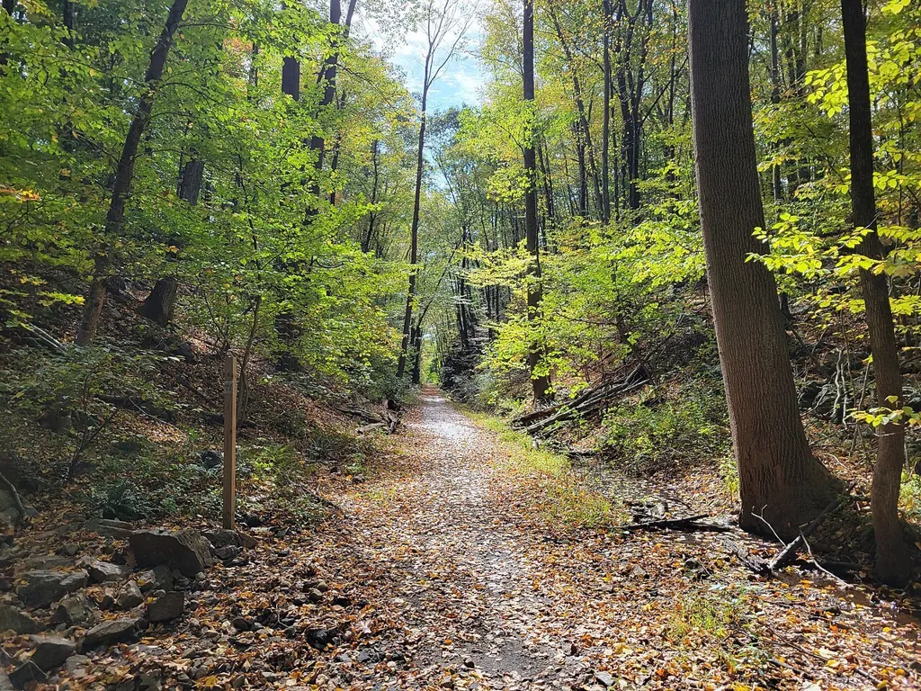 Larkin Trail at Mile 2, Middlebury