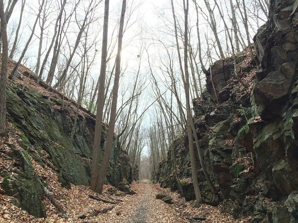 Westward view along Larkin Trail