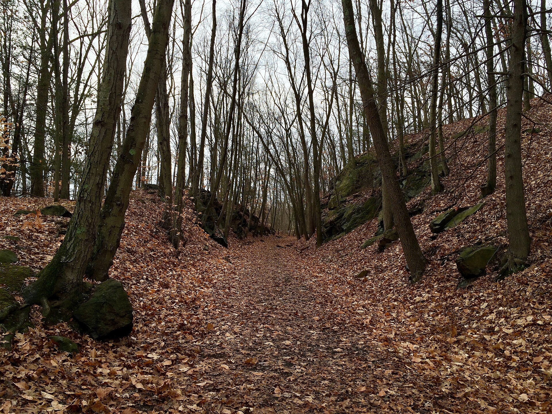 The Larkin Trail in Whittemore Glen State Park in Naugatuck Connecticut