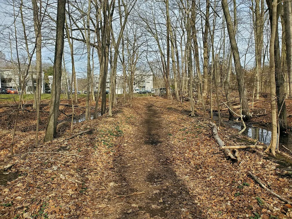 Railroad alignment off Russett Lane