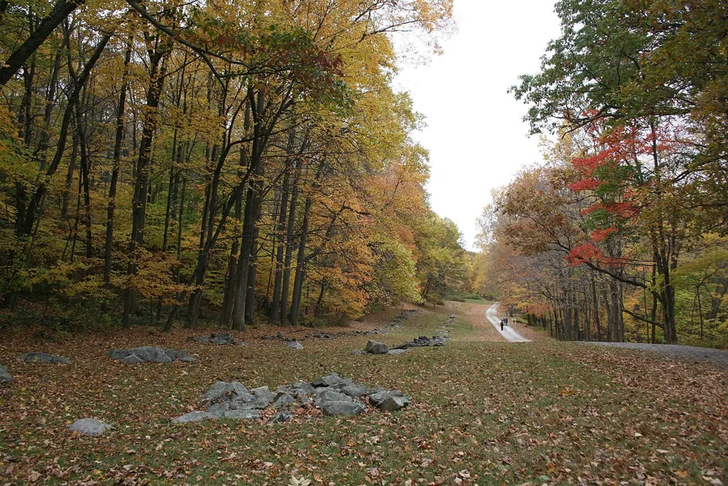 Putnam Memorial State Park - Company Street log hut area