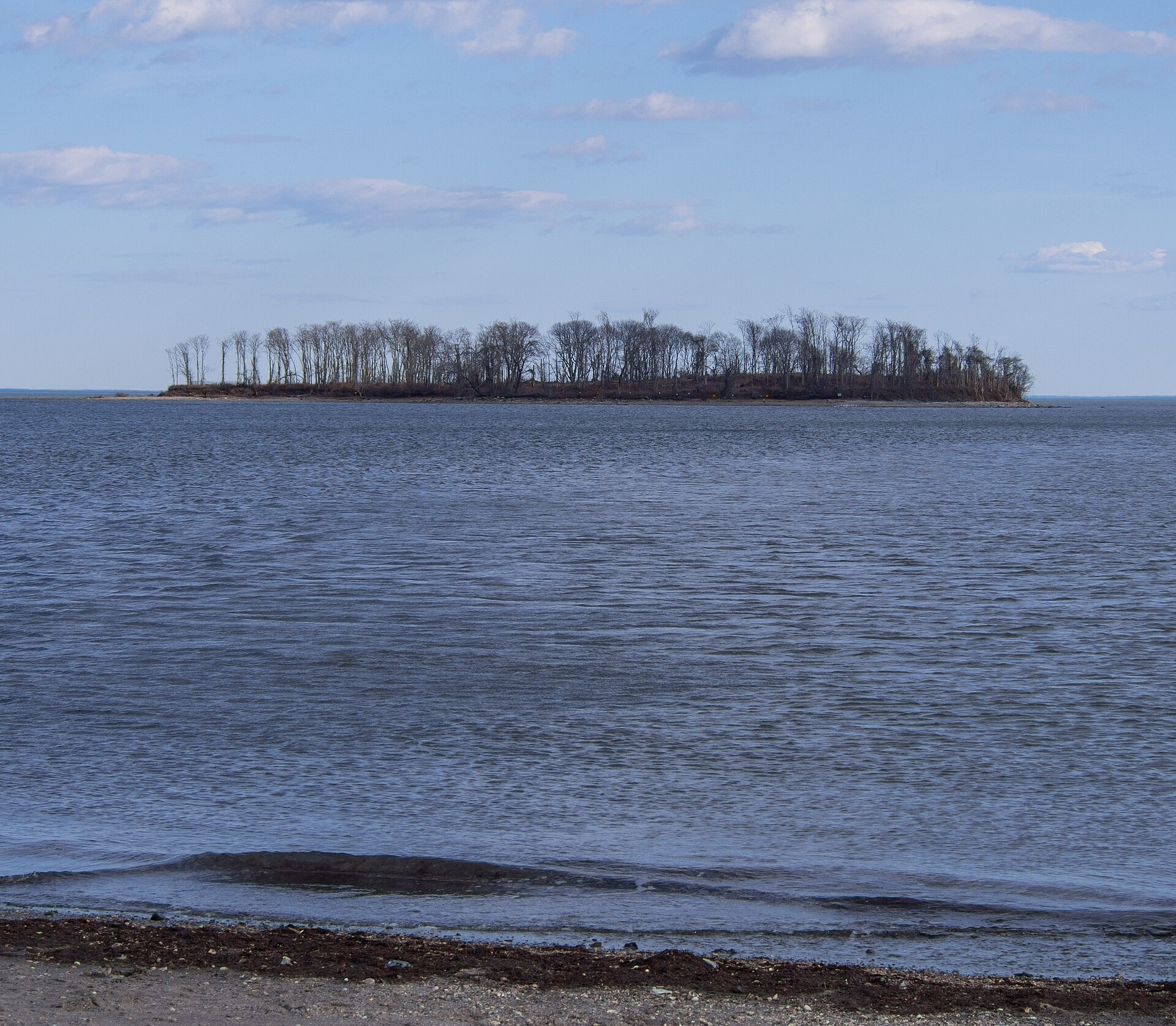 Charles Island Silver Sands State Park (21017)