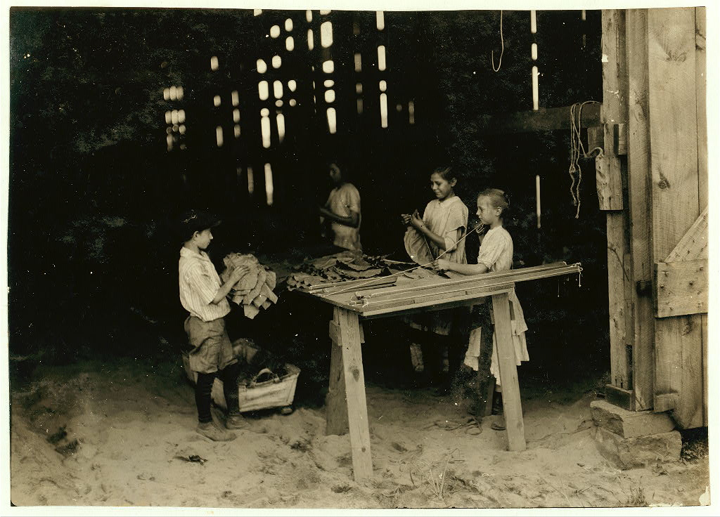 South Windsor tobacco workers, view 1 · 1917 August 3.