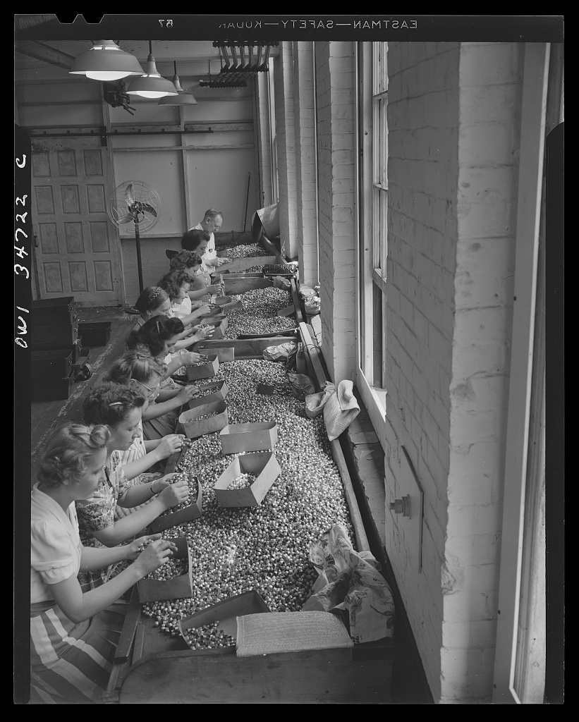 Inspecting bullet jackets at the Stanley plant · 1943 May.